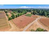 31909 Highway 211 - Photo 21