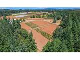 31909 Highway 211 - Photo 23
