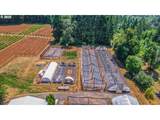 31909 Highway 211 - Photo 28