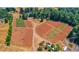 31909 Highway 211 - Photo 4