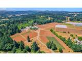 31909 Highway 211 - Photo 5