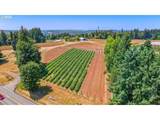 31909 Highway 211 - Photo 6