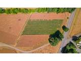 31909 Highway 211 - Photo 7