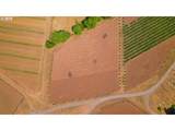 31909 Highway 211 - Photo 8