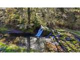 125 Royal Coachman Ln - Photo 41