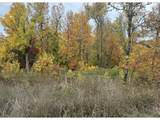 2191 Lorane Hwy - Photo 2