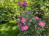 20813 Murphy Ln - Photo 47