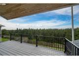 34510 Pinyon Dr - Photo 39