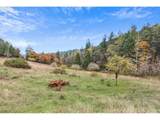 2100 Boyer Rd - Photo 32
