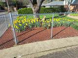 425 Maple St - Photo 37