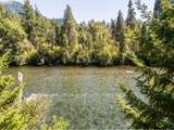 54444 Mckenzie River Dr - Photo 11