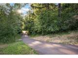 4632 Buckboard Dr - Photo 47