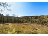  Dry Creek Rd - Photo 6