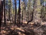  Bliss Rd - Photo 11