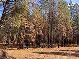  Bliss Rd - Photo 13