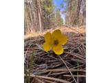  Bliss Rd - Photo 30