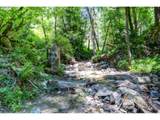 5424 Little River Rd - Photo 43