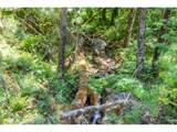 5424 Little River Rd - Photo 44