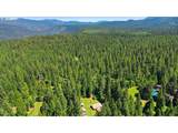 49782 Huckleberry Rd - Photo 8