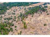  Nka Little Oak Ln - Photo 13