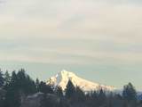 15157 119TH Ave - Photo 47