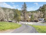 7941 Upper Olalla Rd - Photo 46