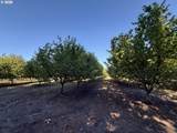 41792 Kingston Jordan Rd - Photo 10