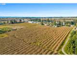 41792 Kingston Jordan Rd - Photo 3