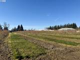 41792 Kingston Jordan Rd - Photo 39