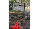 3990 Carman Dr - Photo 30