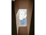 1033 Eloise Ln - Photo 28