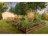 39920 127TH Ct - Photo 37