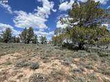  Wildpine Way - Photo 10