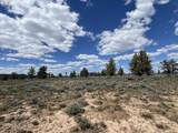  Wildpine Way - Photo 11