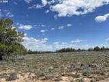  Wildpine Way - Photo 12