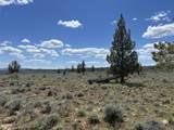  Wildpine Way - Photo 3