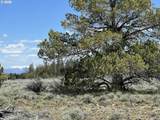  Wildpine Way - Photo 4