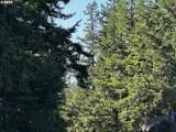 94515 Langlois Mountain Rd - Photo 4