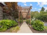1258 Shattuck Way - Photo 43