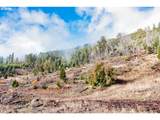  River Rd - Photo 14