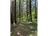 89366 Nelson Mountain Rd - Photo 18