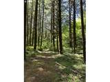 89366 Nelson Mountain Rd - Photo 19