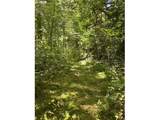 89366 Nelson Mountain Rd - Photo 20