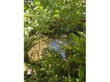 89366 Nelson Mountain Rd - Photo 22