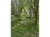 89366 Nelson Mountain Rd - Photo 23