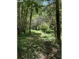 89366 Nelson Mountain Rd - Photo 24
