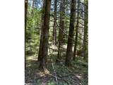 89366 Nelson Mountain Rd - Photo 25
