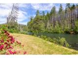 47664 Mckenzie Hwy - Photo 16