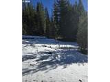 6 Royce Pine Rd - Photo 5