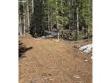 6 Royce Pine Rd - Photo 6